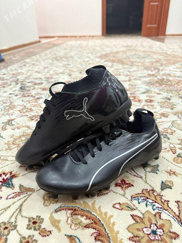 Puma butsy - Kim raýon - img 4