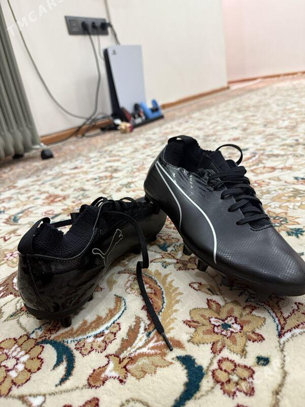 Puma butsy - Kim raýon - img 3