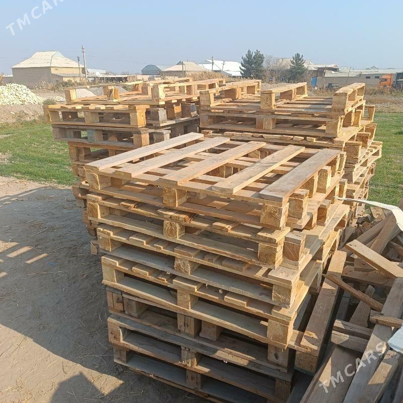 paddon - Сакарчага - img 2