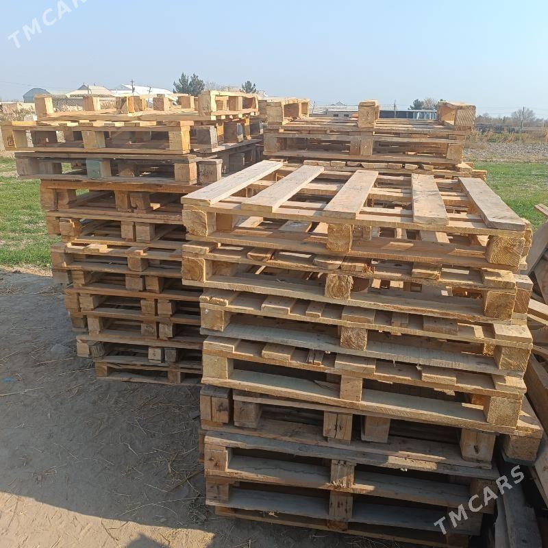 paddon - Сакарчага - img 4