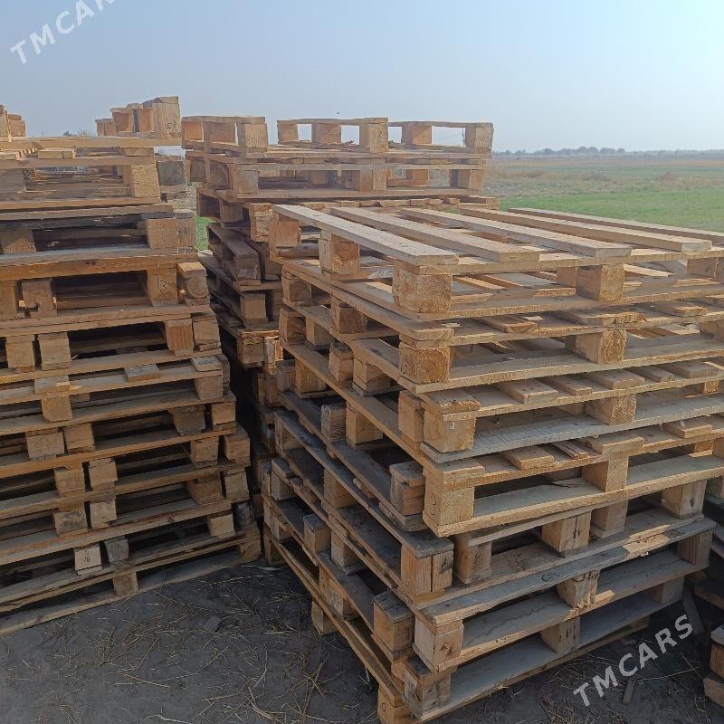 paddon - Сакарчага - img 3