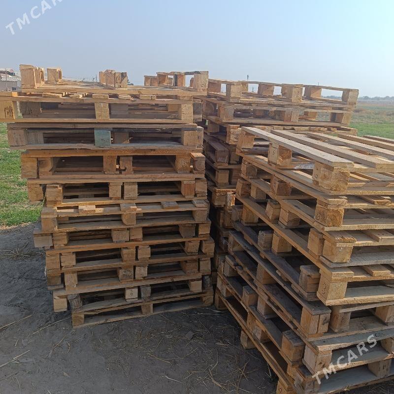 paddon - Сакарчага - img 5