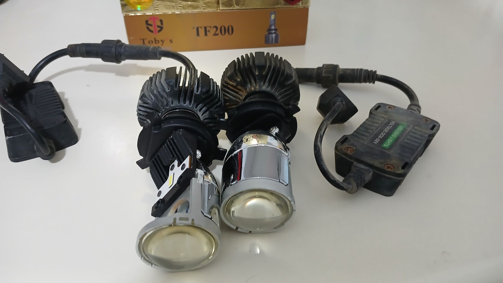 Toby,s let lupa 1 600 TMT - Aşgabat - img 1