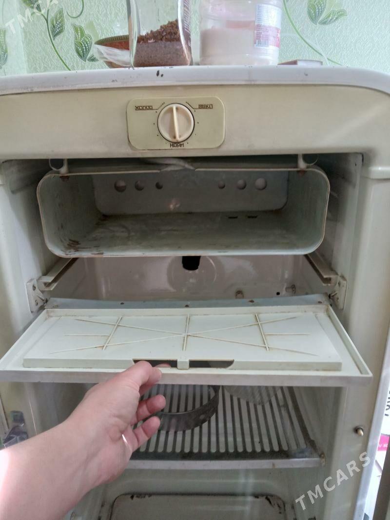 Holadilnik - Mary - img 3