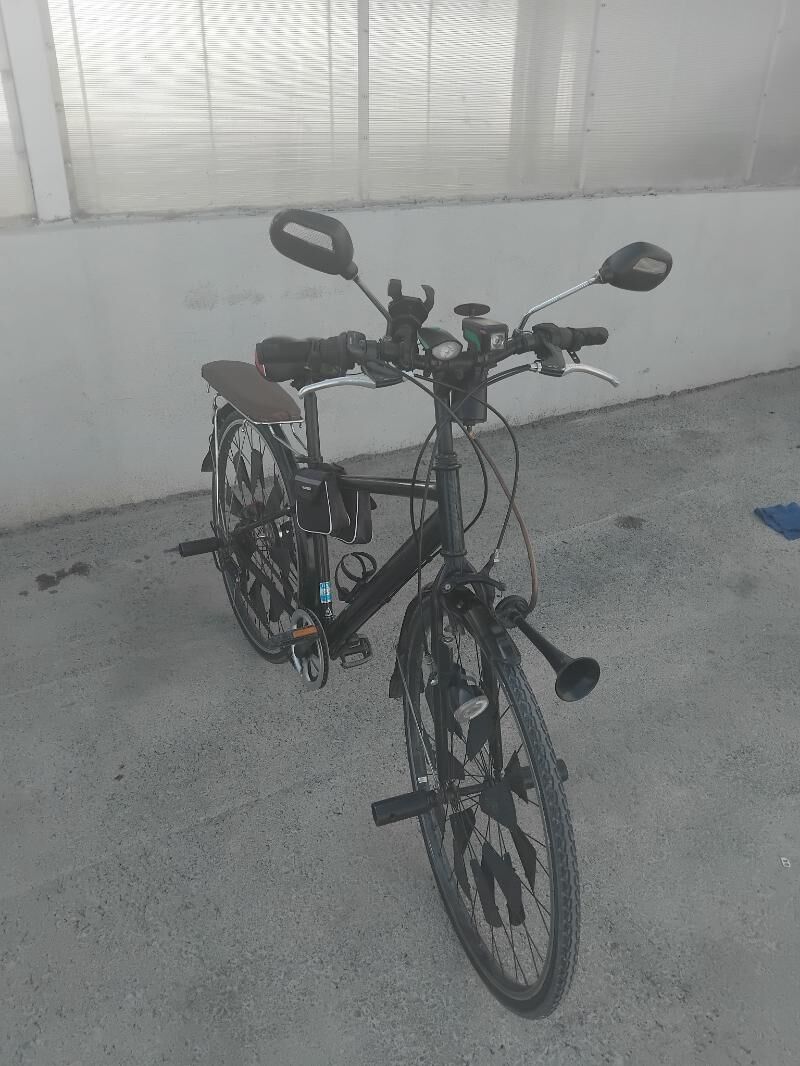 Tigir Yaposka - Анев - img 3