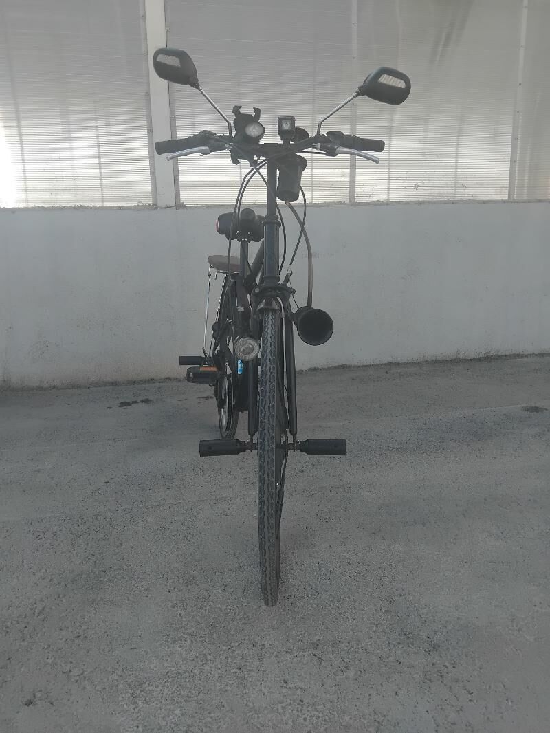 Tigir Yaposka - Анев - img 4