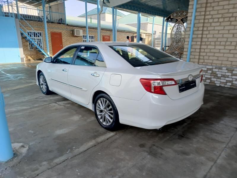 kemri palta 21 000 TMT - Çoganly - img 9