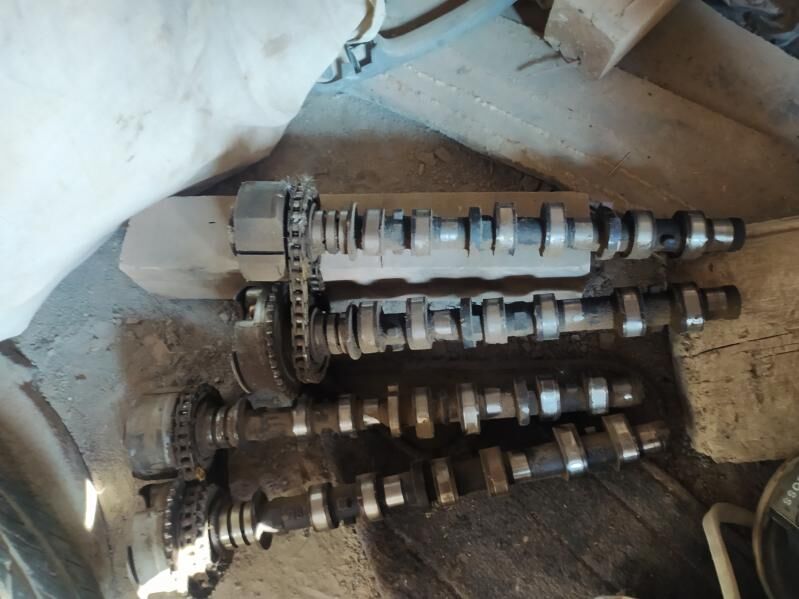 wanus 3.5 1 000 TMT - Mary - img 1