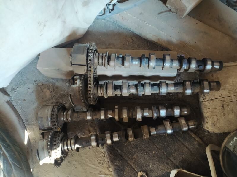 wanus 3.5 1 000 TMT - Mary - img 2