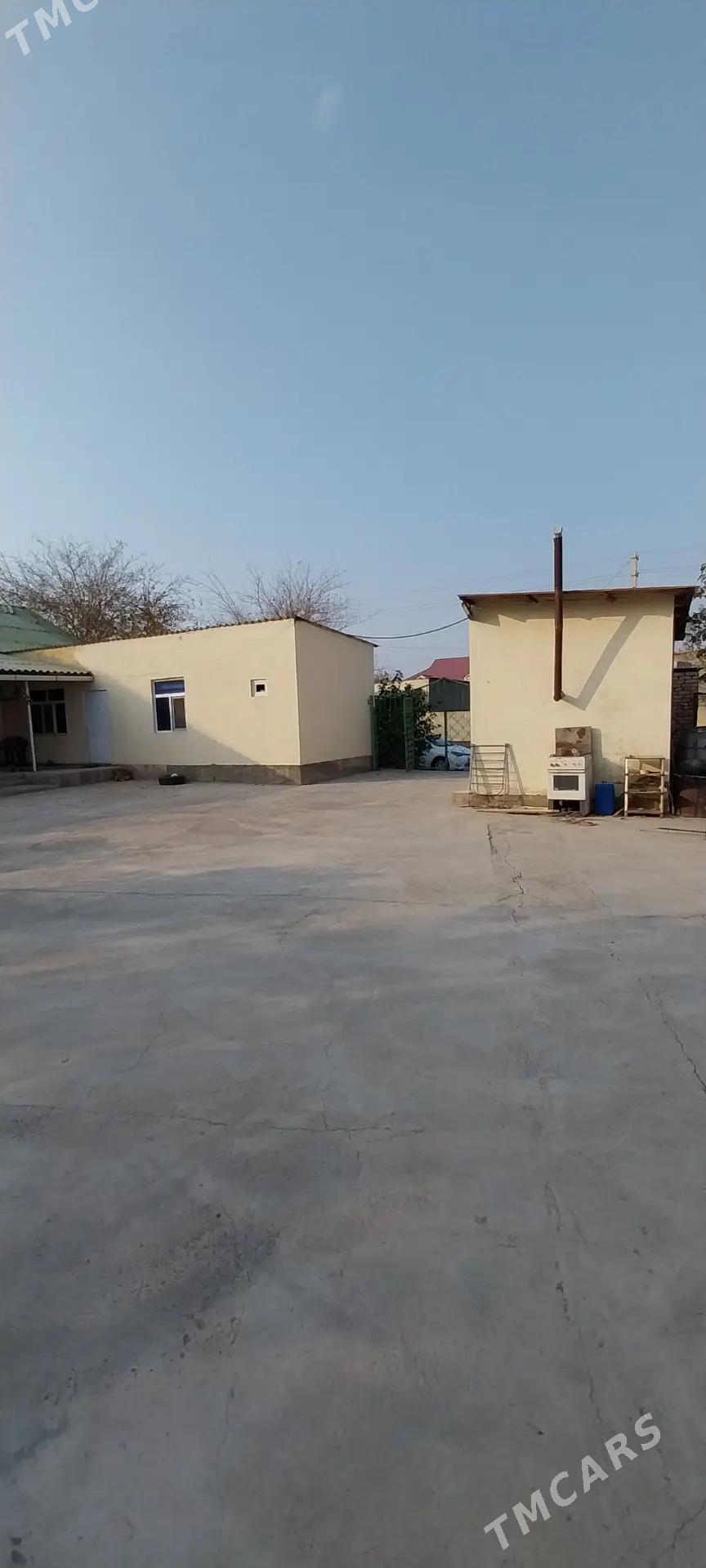 ДОМ! ЧОГОНЛЫ!- - Çoganly - img 2