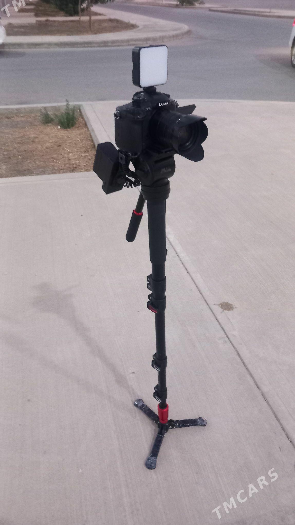 lumix gh5 - Ak bugdaý etraby - img 1