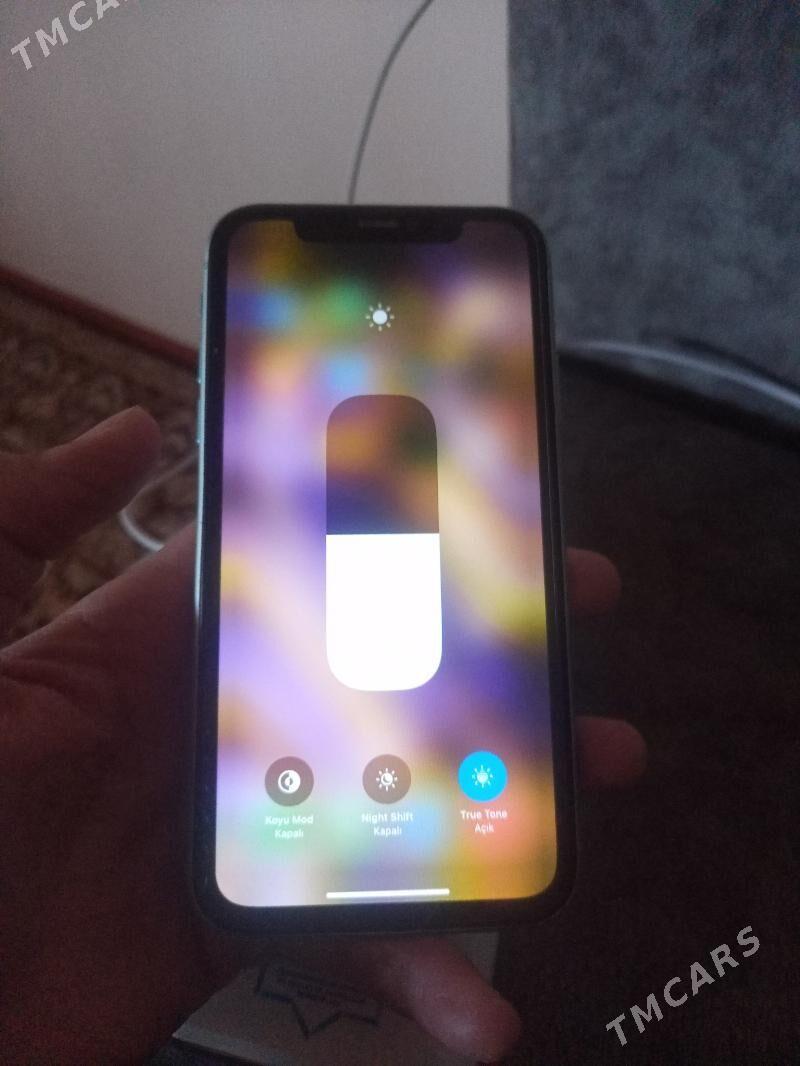 iPhone 11  - Sakarçäge - img 4