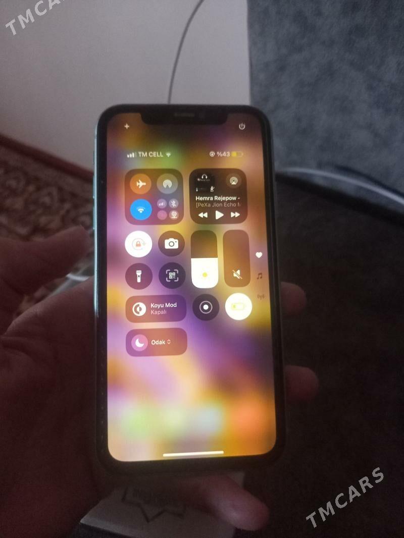 iPhone 11  - Sakarçäge - img 5