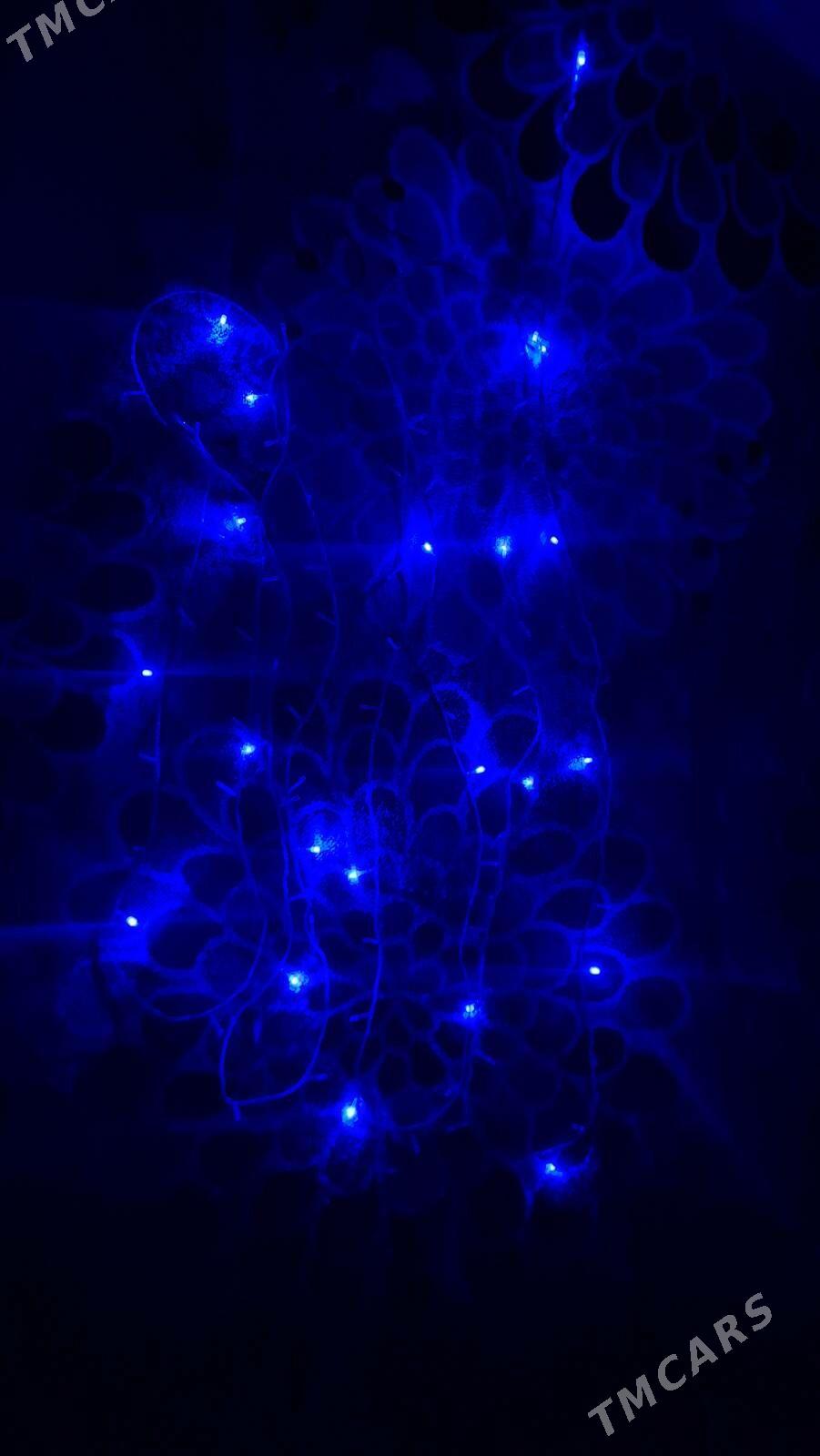 yolka arça arca - Aşgabat - img 7