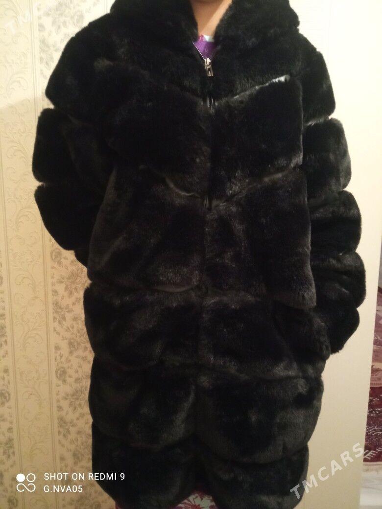 şuba - Balkanabat - img 1