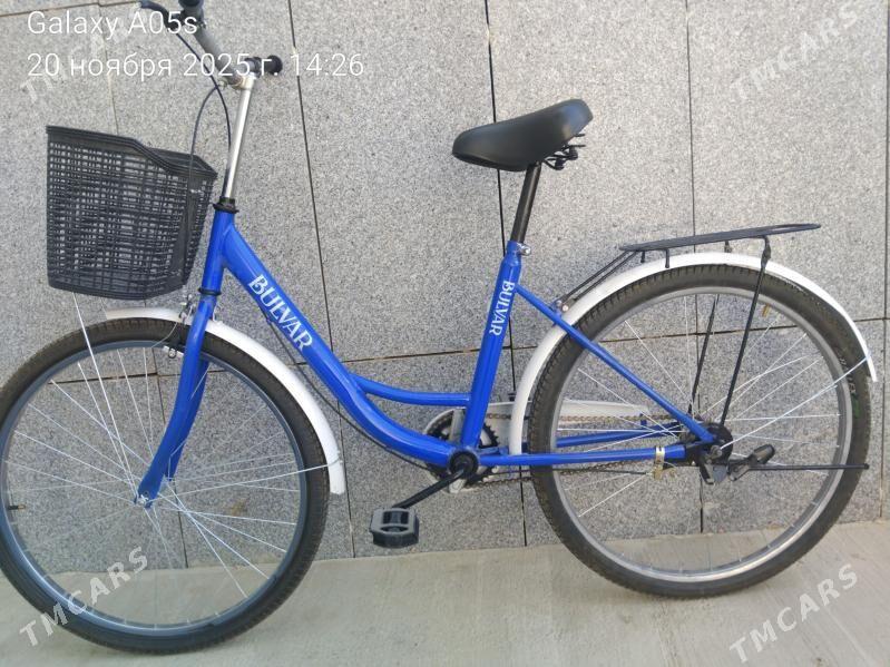 TIGIR - Аркадаг - img 2