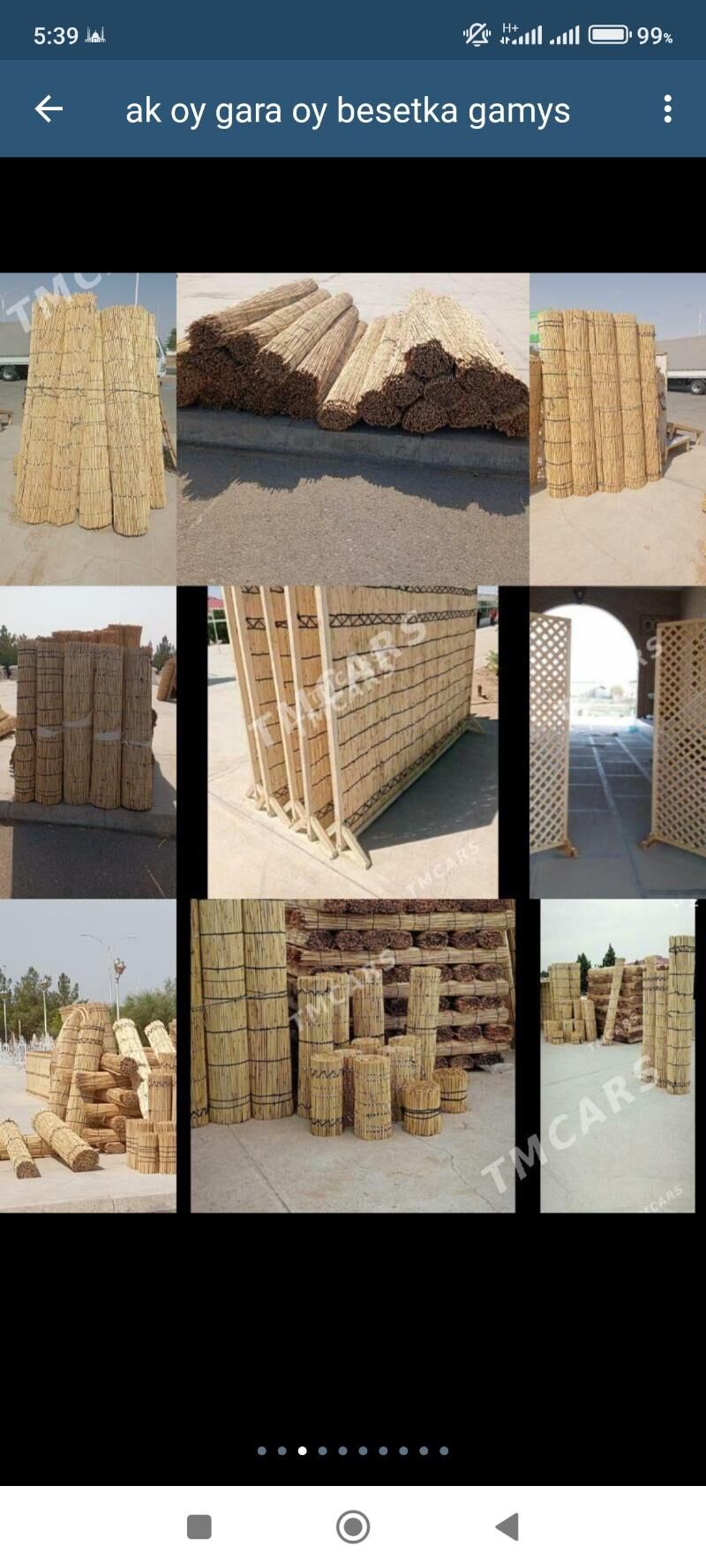 Ak oy gara oy gamys АК Гара ой - "Altyn Asyr" Gündogar bazary (Jygyllyk) - img 2