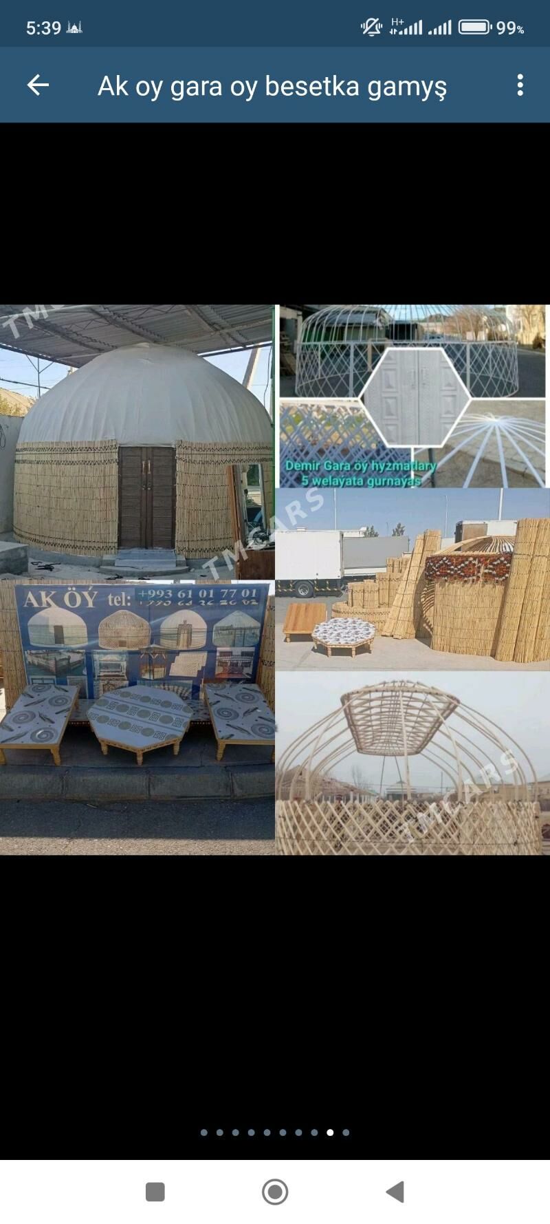 Ak oy gara oy gamys АК Гара ой - "Altyn Asyr" Gündogar bazary (Jygyllyk) - img 5