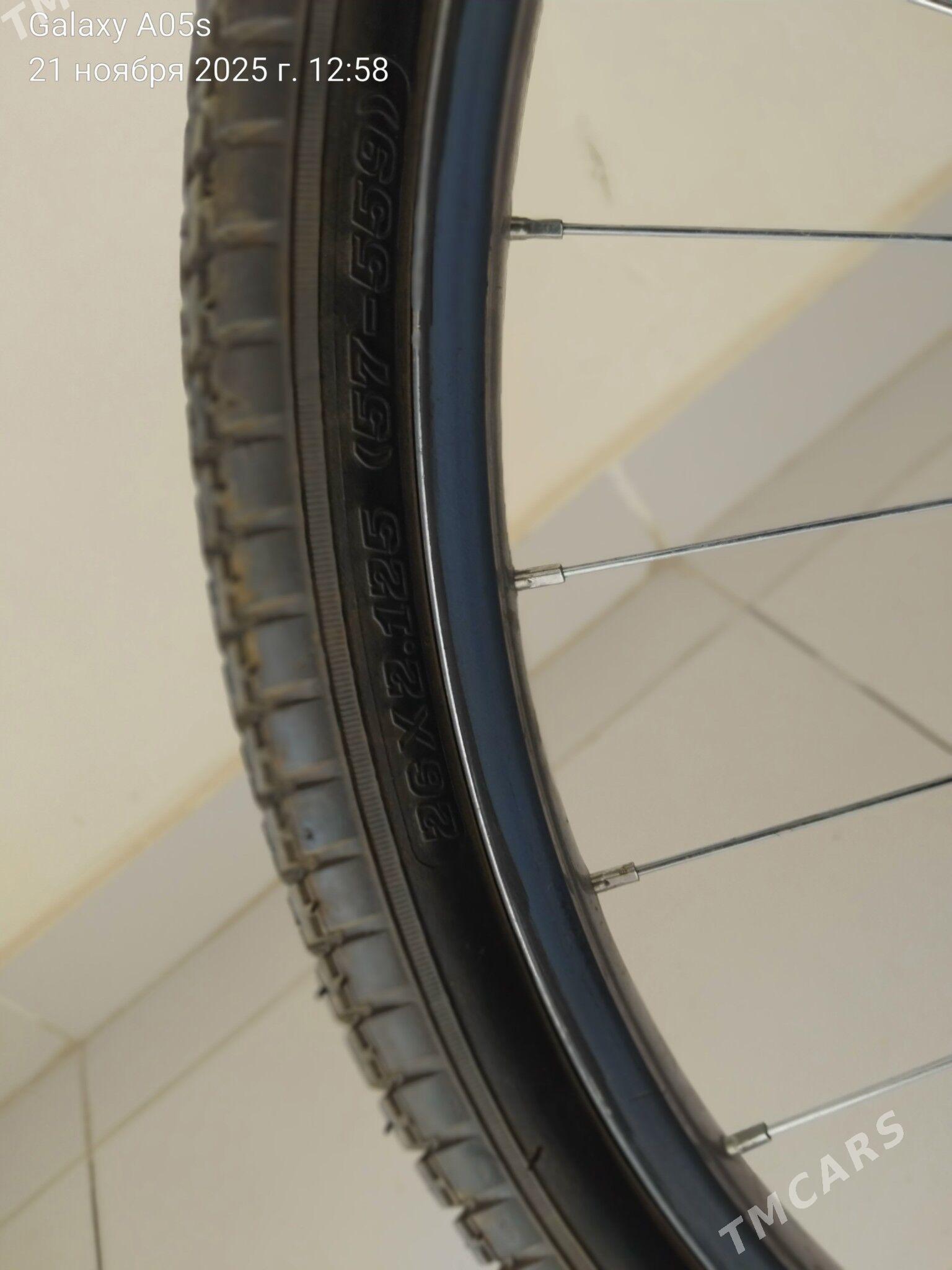 TIGIR - Аркадаг - img 3