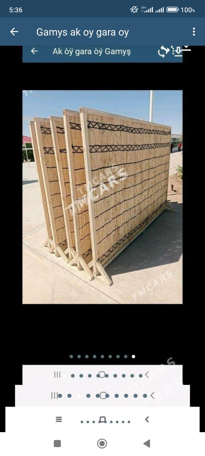 Ak oy gara oy gamys АК Гара ой - "Altyn Asyr" Gündogar bazary (Jygyllyk) - img 10