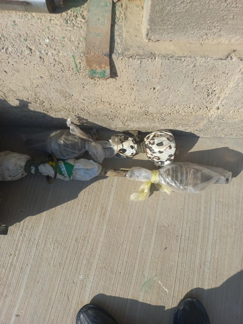 Karopga 2 600 TMT - Tejen - img 2