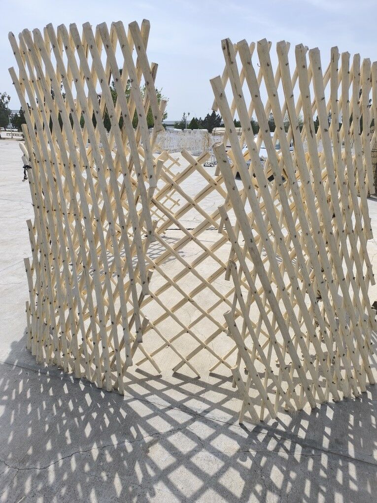 Ak oy gara oy gamys rasotka ак - Бедев - img 9