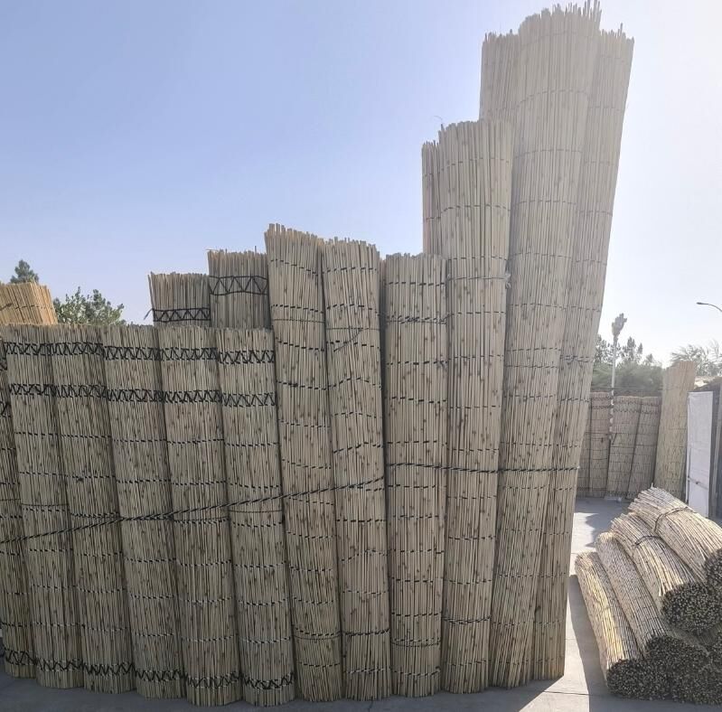 Ak oy gara oy gamys rasotka ак - Бедев - img 2