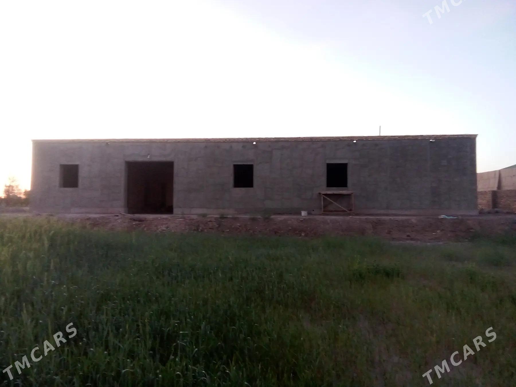 Satlyk jay - Akdepe - img 5