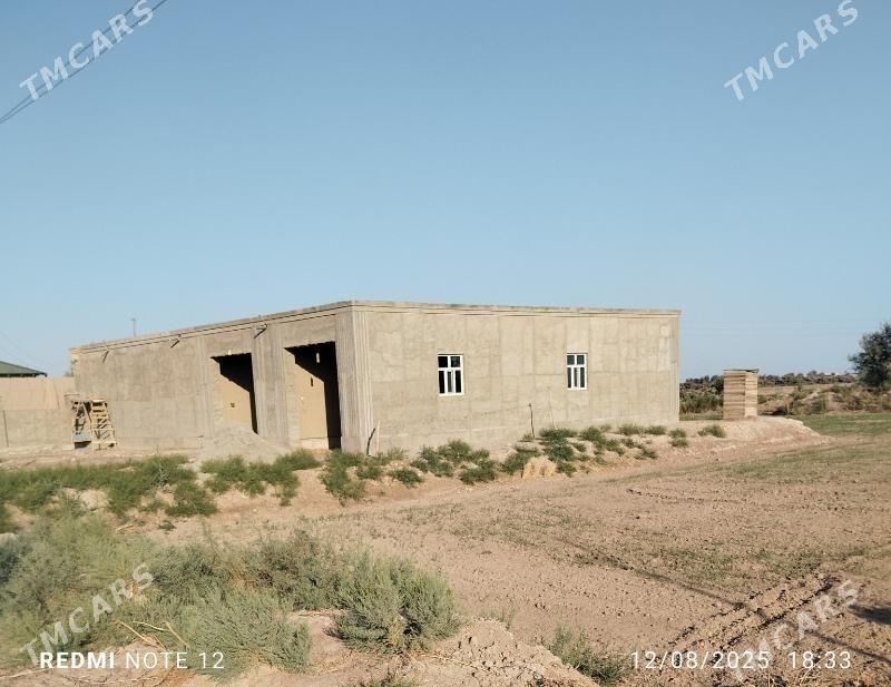 Satlyk jay - Akdepe - img 4