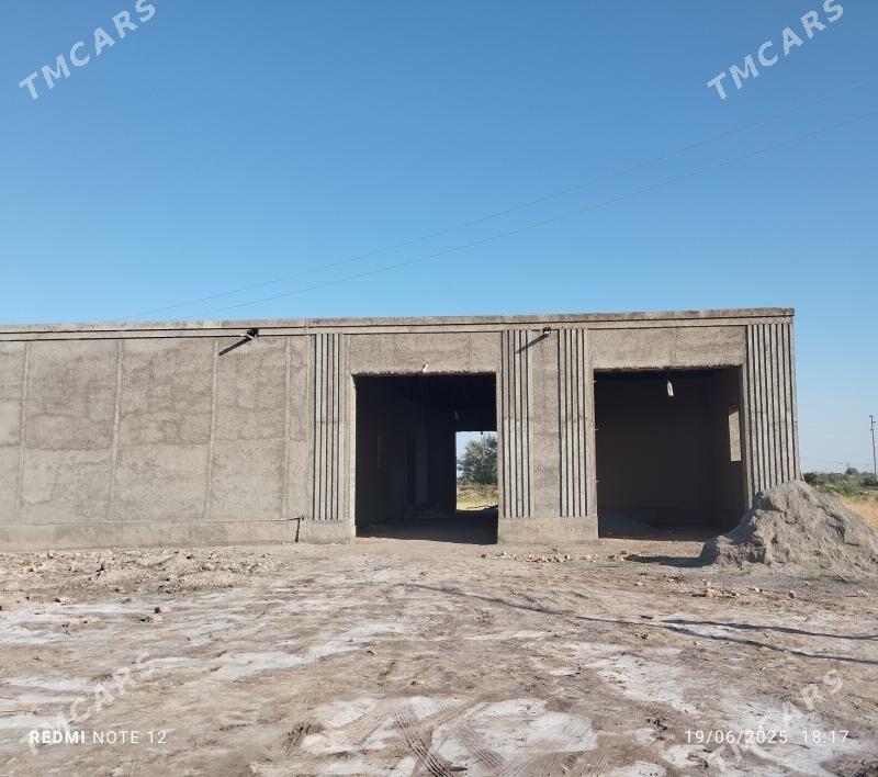 Satlyk jay - Akdepe - img 1