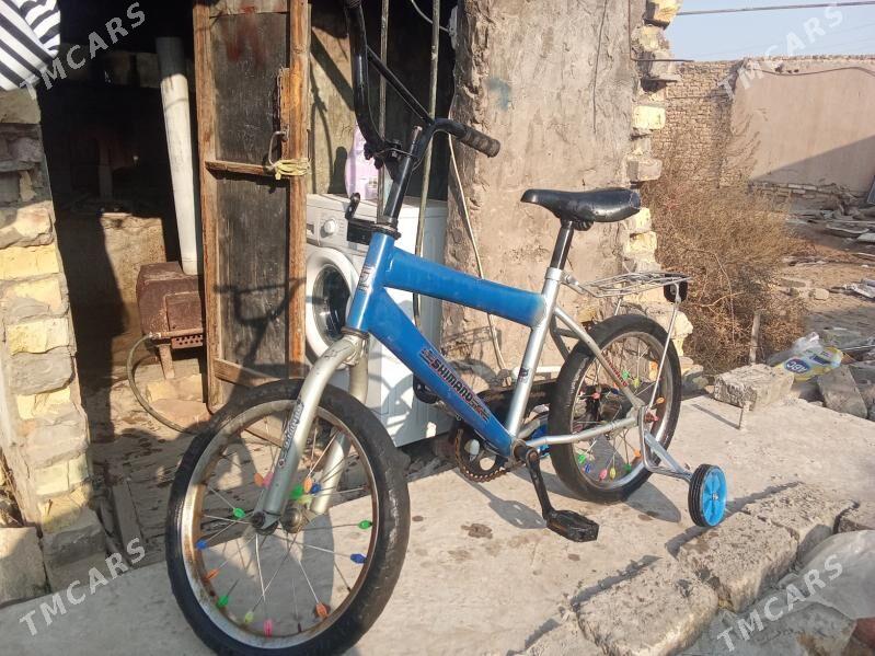 16 lyk welosipet - Türkmenabat - img 2