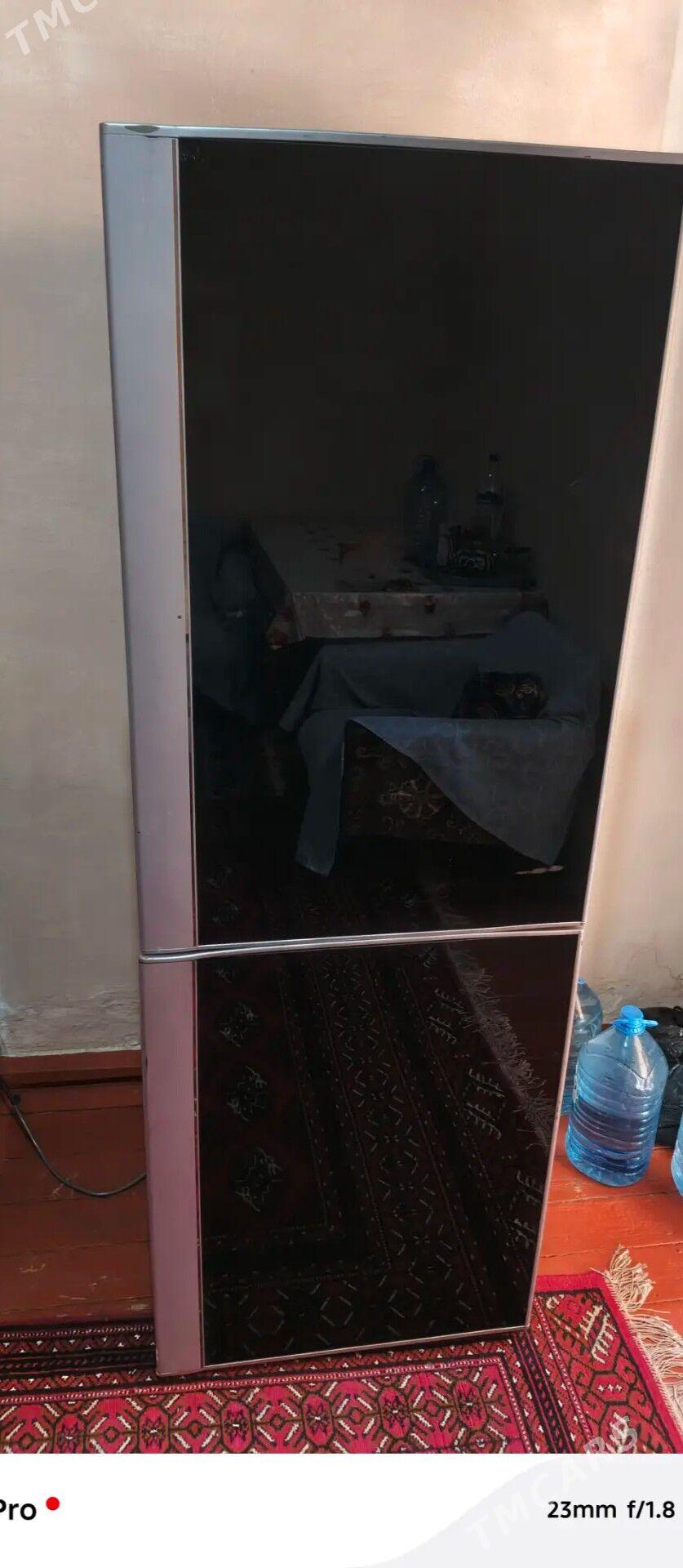 holodilnik - Mary - img 3