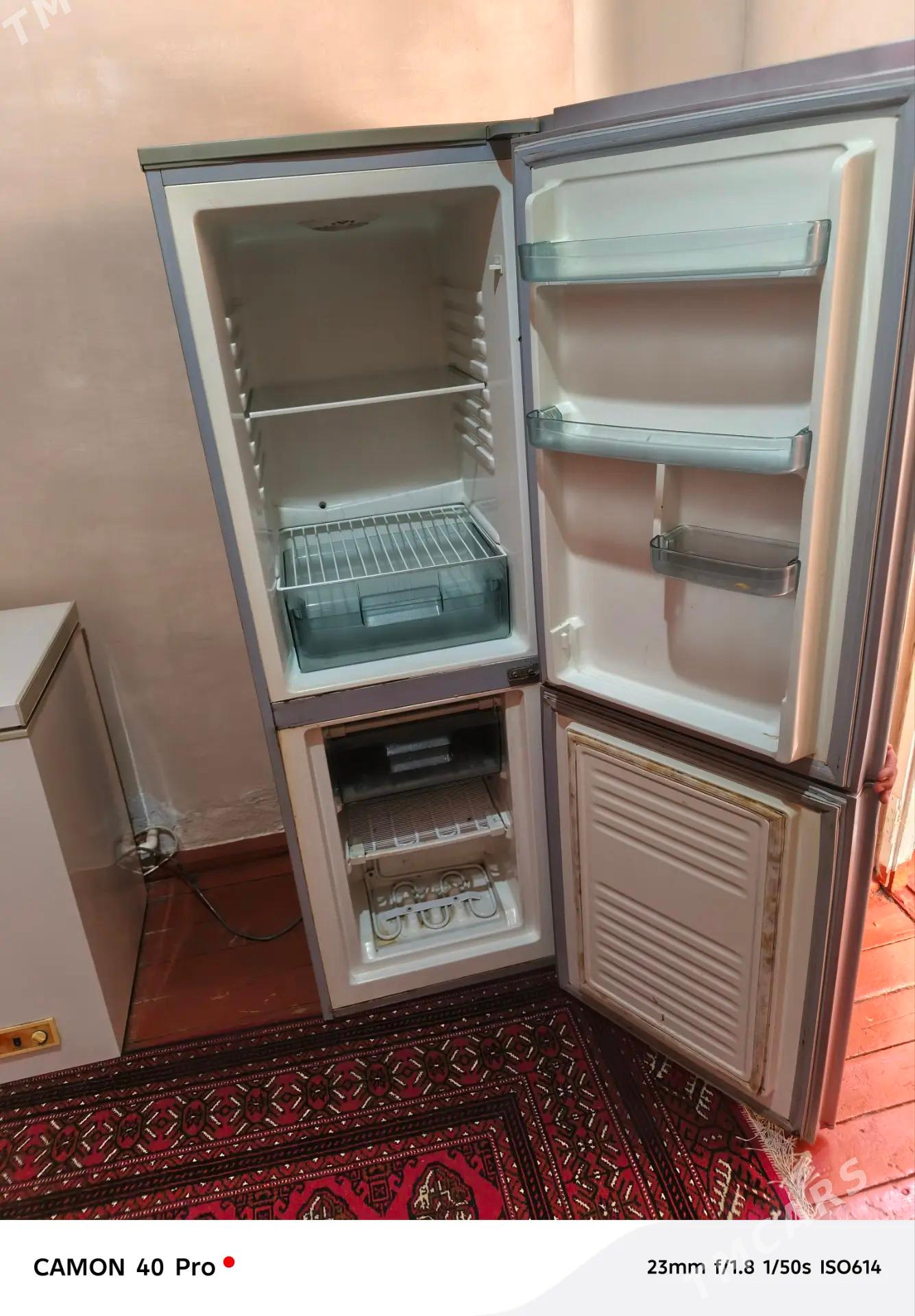 holodilnik - Mary - img 1