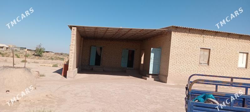 satlyk jay - Ходжамбаз - img 1