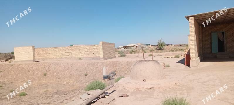 satlyk jay - Ходжамбаз - img 2