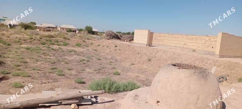 satlyk jay - Ходжамбаз - img 3