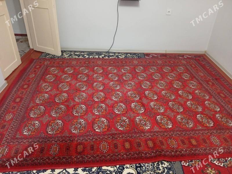 Бузмейин халы. - Daşoguz - img 2