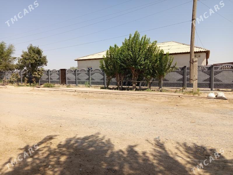 beton zaborlar (hayat) - Байрамали - img 5