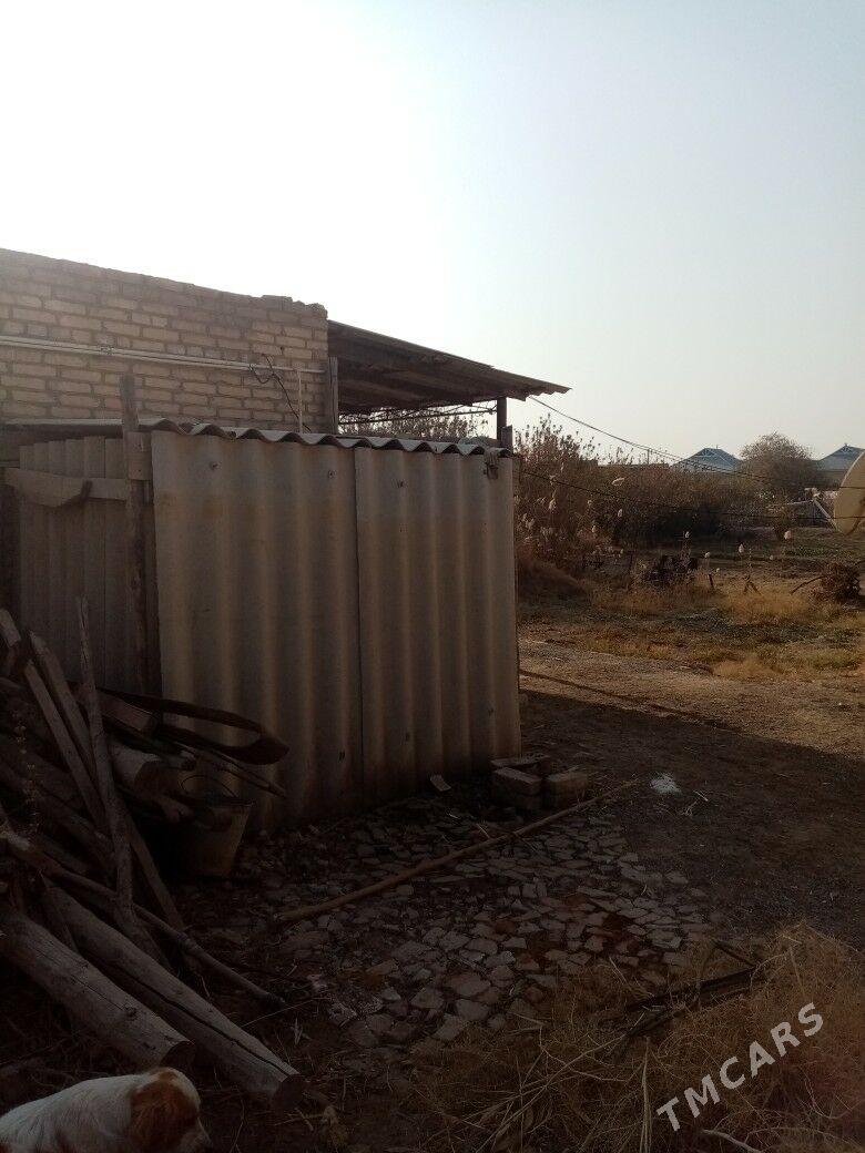 satlyk jay - Mary - img 3