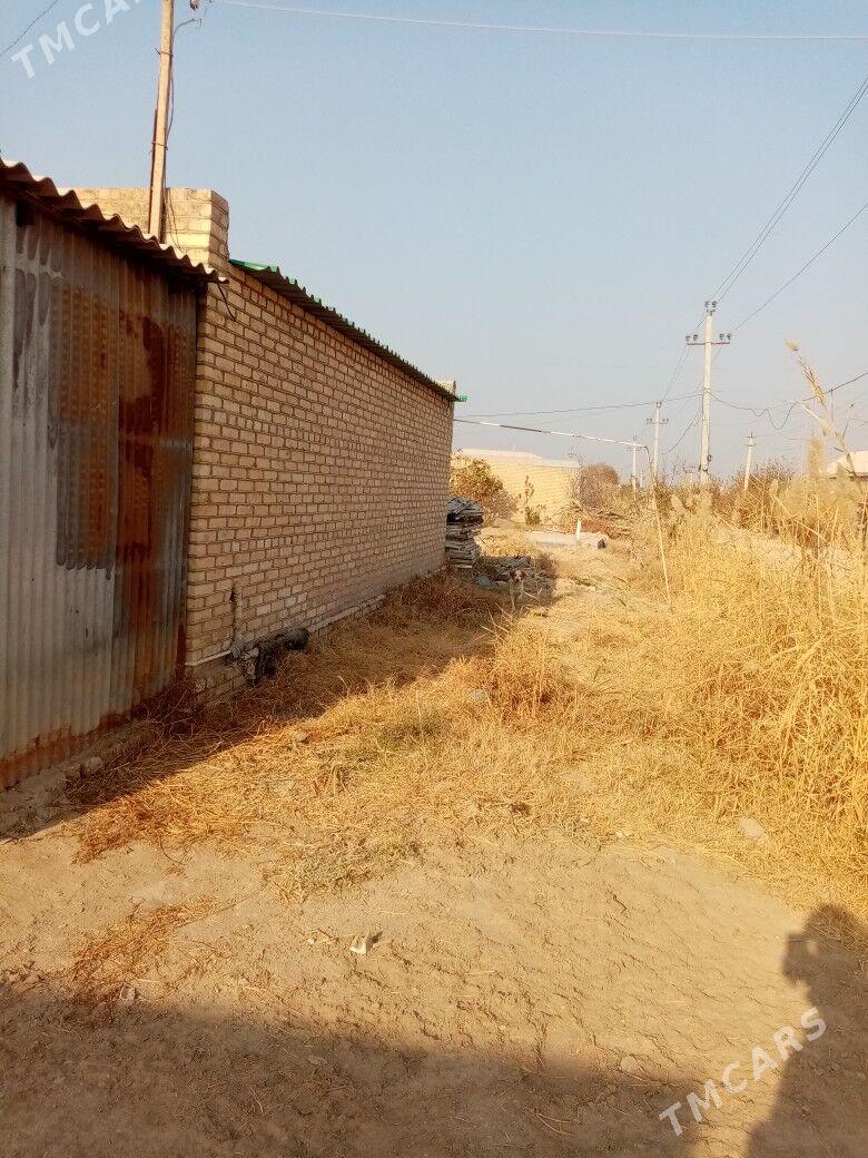 satlyk jay - Mary - img 5