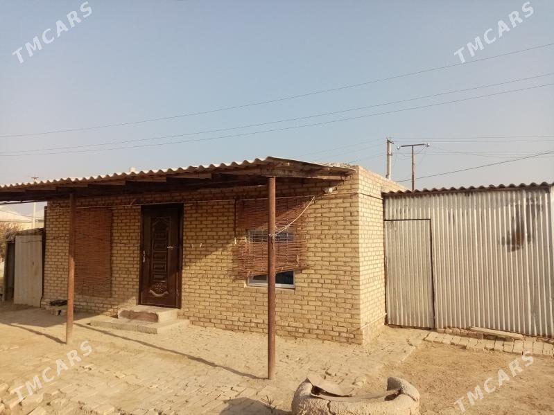 satlyk jay - Mary - img 4