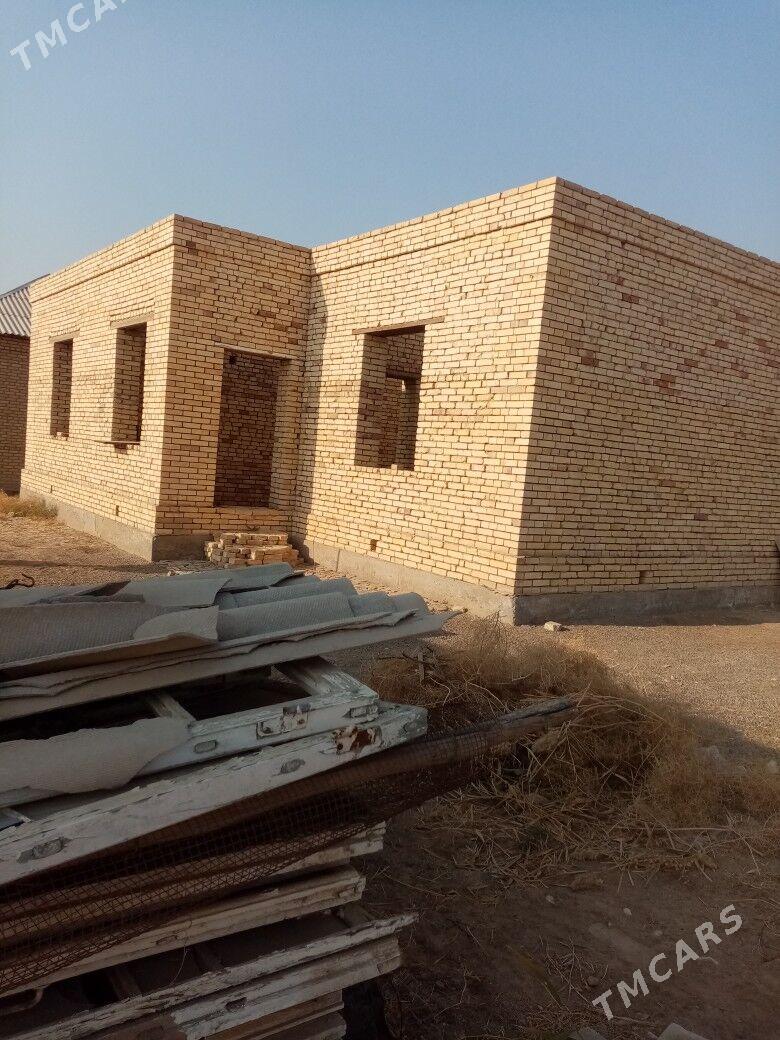 satlyk jay - Mary - img 2