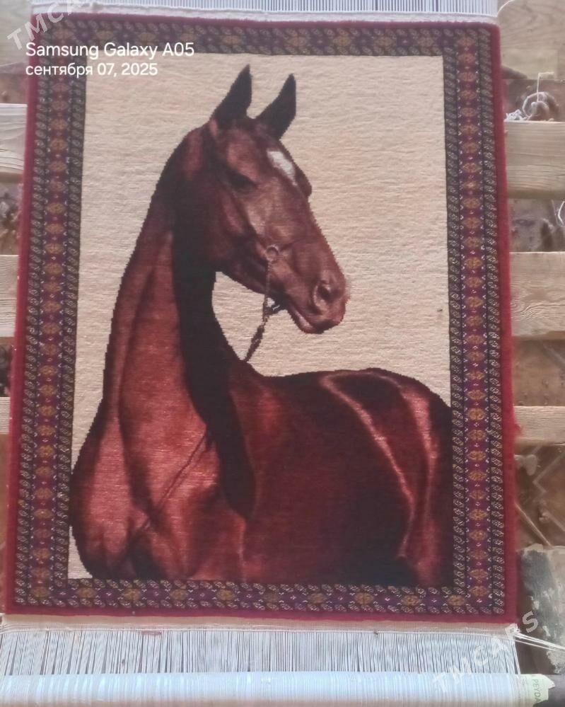 "Bedew" Portret - Ашхабад - img 2