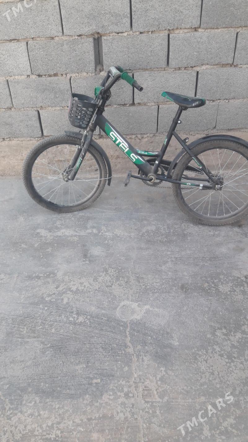 tigir - Gyzylarbat - img 2