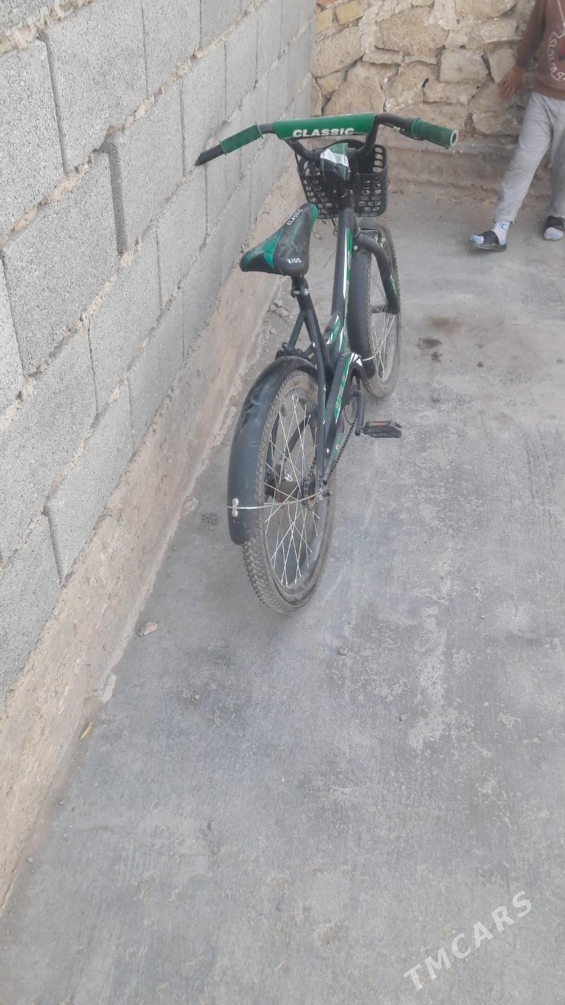 tigir - Gyzylarbat - img 3