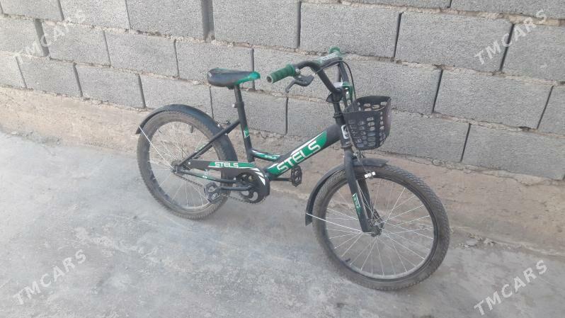 tigir - Gyzylarbat - img 5