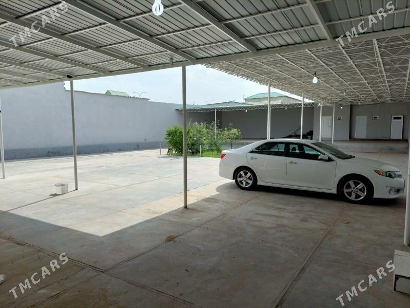 Ahal koce plan jay - Анев - img 2