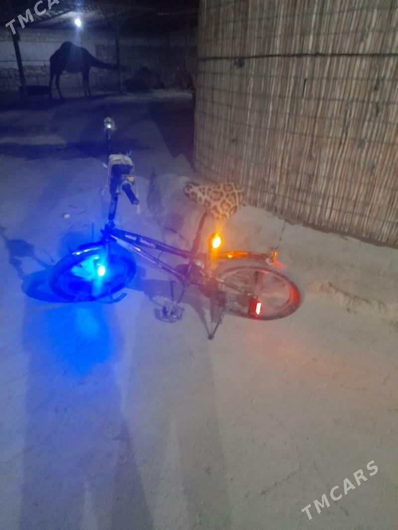 welik - Gyzylarbat - img 5