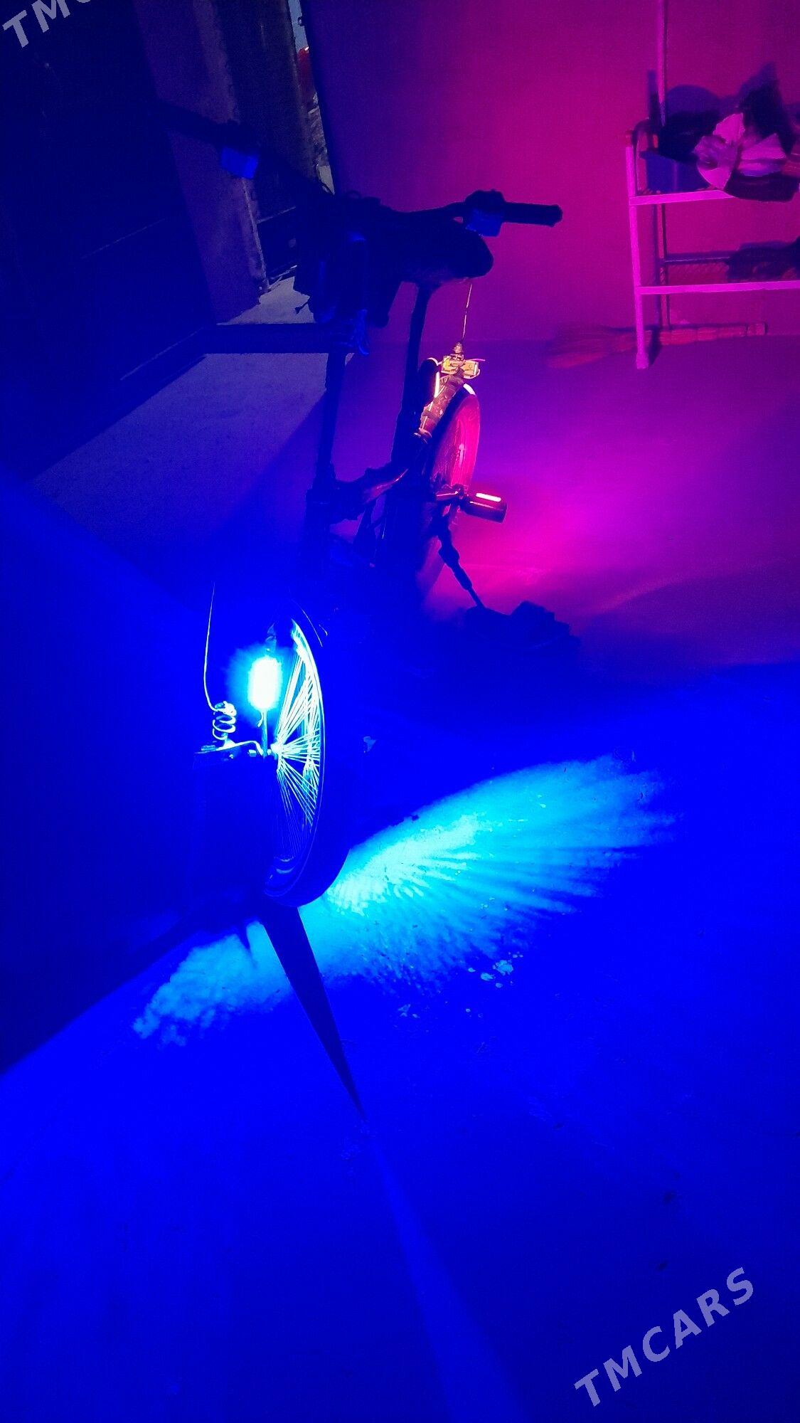 welik - Gyzylarbat - img 8