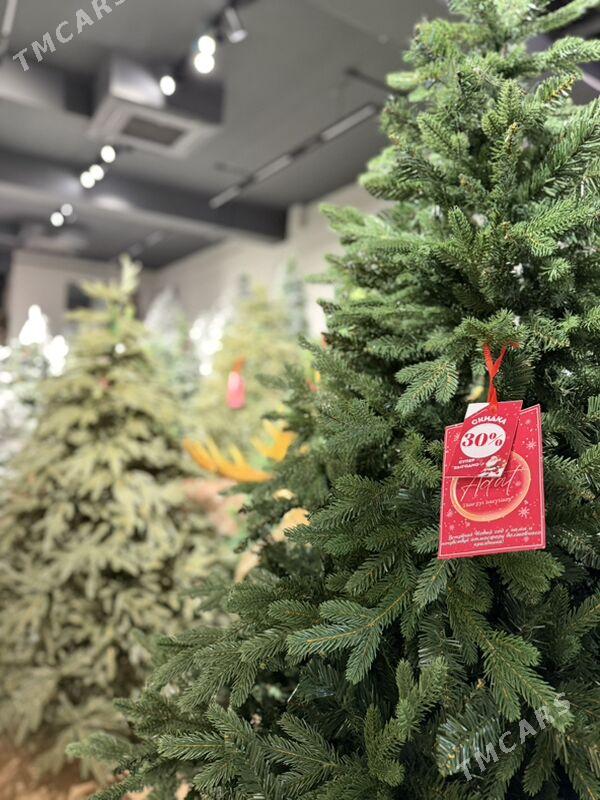 YOLKA ARÇA ЕЛКА - Ашхабад - img 8